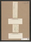 Navicula fusca var. subfusca Grun. (de-Toni-Nr.: Genus 1, Species 292) Zeichnungen Sammlung Grunow Nr. 662 (NHMW-BOT-W0367033)